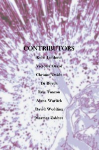 Love and Other Afflictions - back